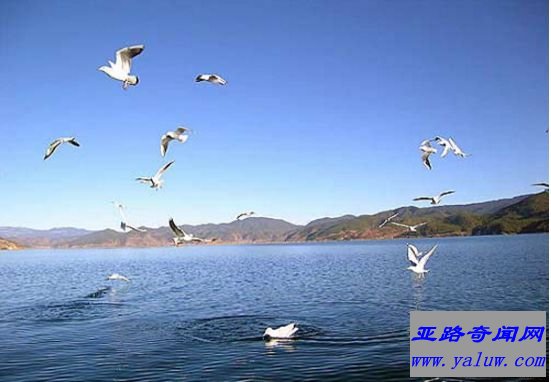 中国最大的湖泊-青海湖