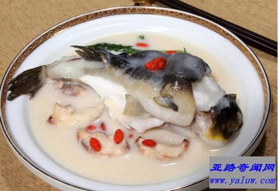 世界最毒的美味食物-河豚