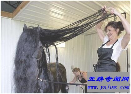 “腓特烈二世”有专人打理毛发