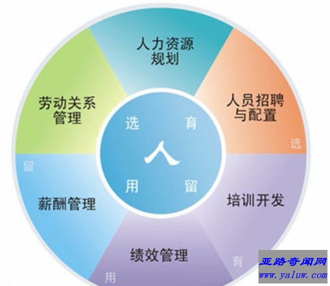 人力资源规划