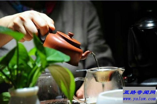 茶学专业