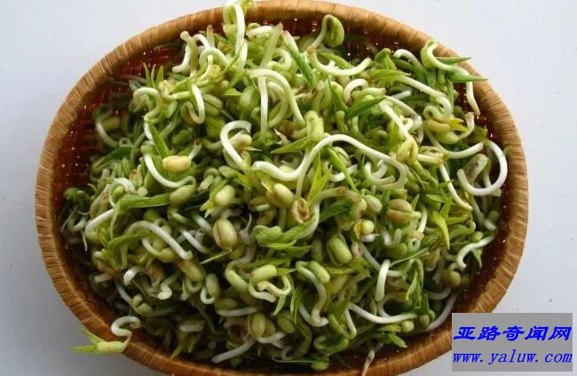 生芽和未洗过的蔬菜