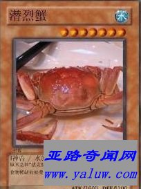 中国网络十大神兽之一潜烈蟹 中国网络十大神兽之一潜烈蟹