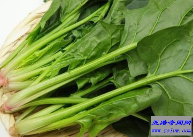 菠菜