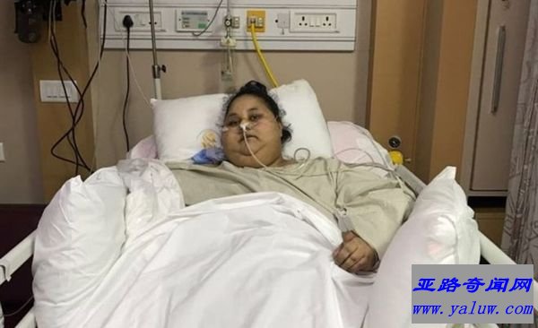 全球最胖女性去世 肥胖的八个原因简述! 全球最胖女性去世 肥胖的八个原因简述!