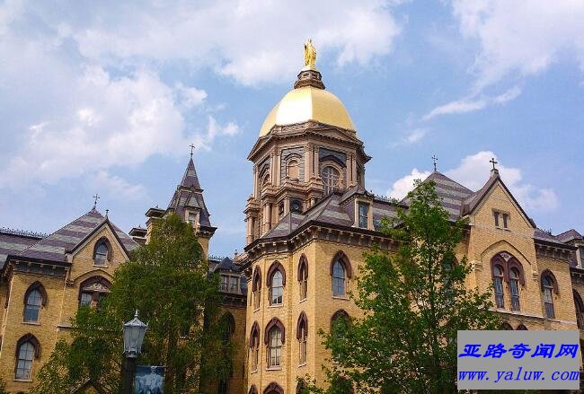 圣母大学