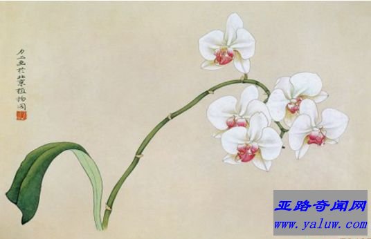 苏绣