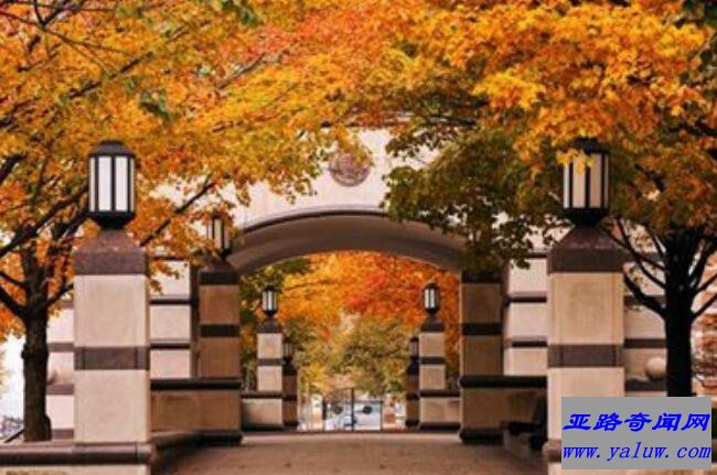 伊利诺伊大学厄巴纳-香槟分校