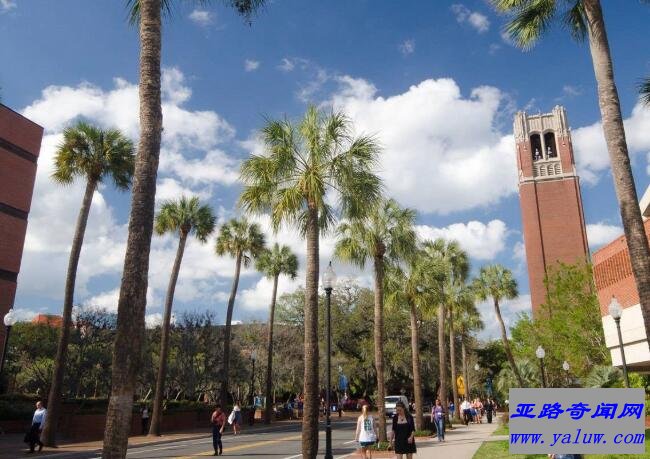 佛罗里达大学