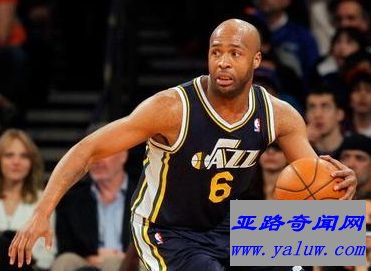 采鸟嘴廷斯利 采鸟嘴廷斯利