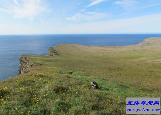Latrabjarg悬崖