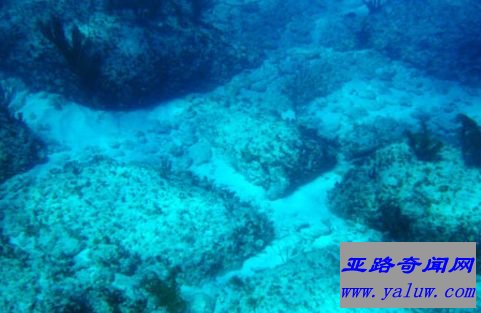 "比米尼道"的真相