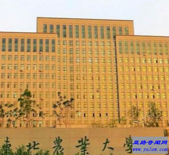 东北林业大学