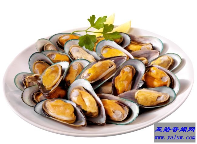 贻贝