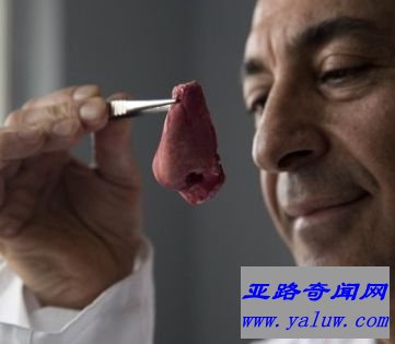 培养身体部位