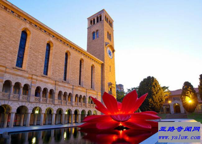 西澳大学