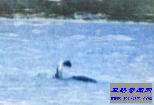 世界十大水怪之一：刚果沼泽水怪