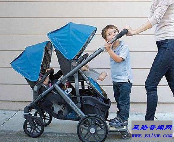 UPPABABY VISTA
