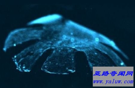 人造细胞模拟