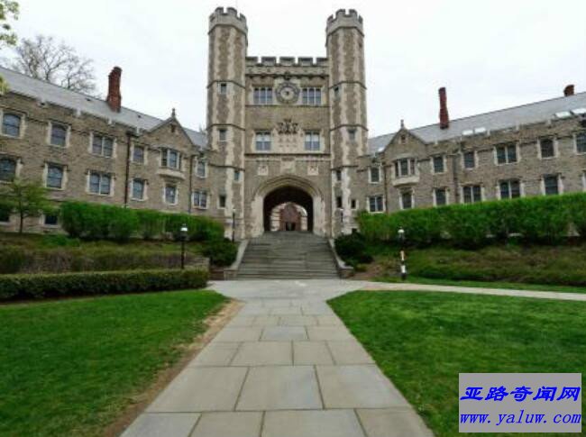 普林斯顿大学