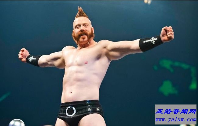 希莫斯 130万美元 希莫斯 130万美元