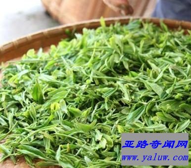 四大名茶之一黄山毛峰 