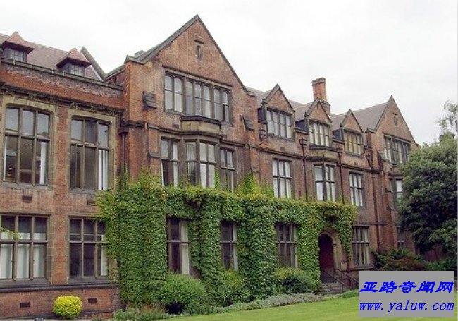 纽卡斯尔大学