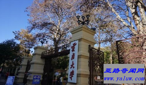 云南大学