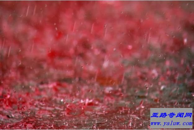 世界十大未解之谜之一：红雨