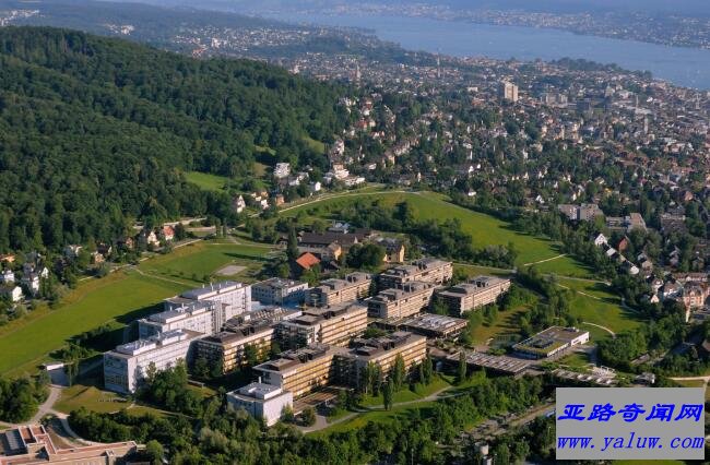 苏黎世大学