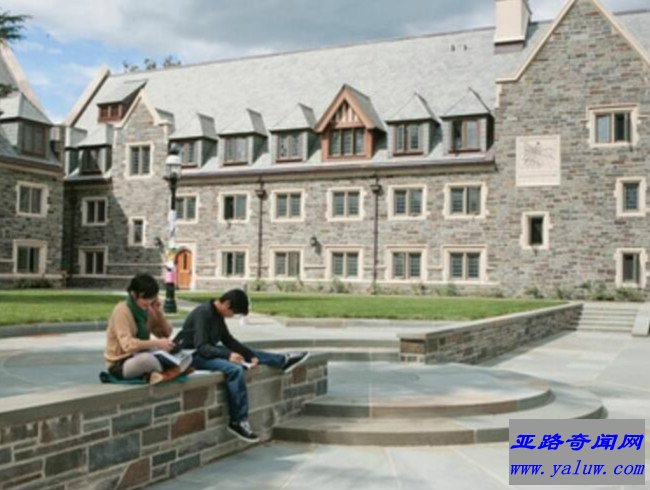 普林斯顿大学
