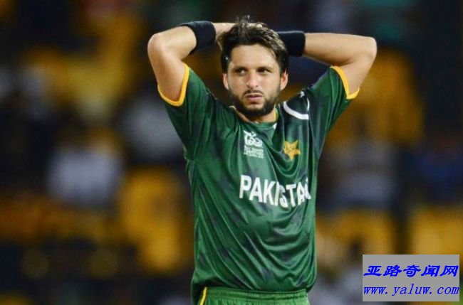 沙希德·阿夫里迪-净资产3000万美元