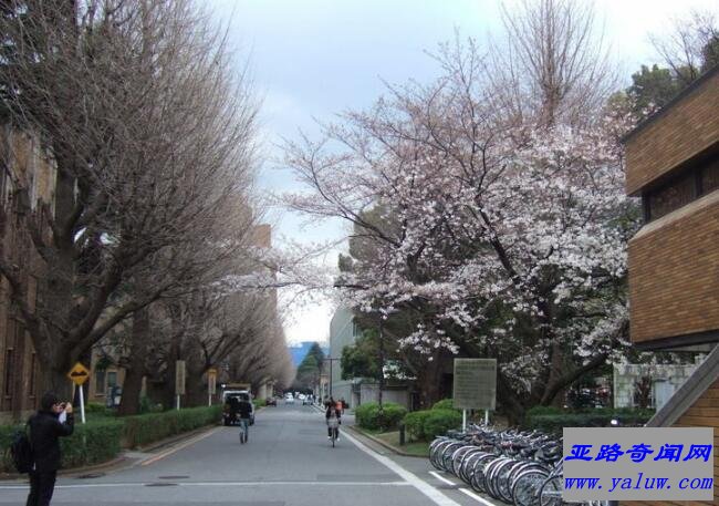 京都大学