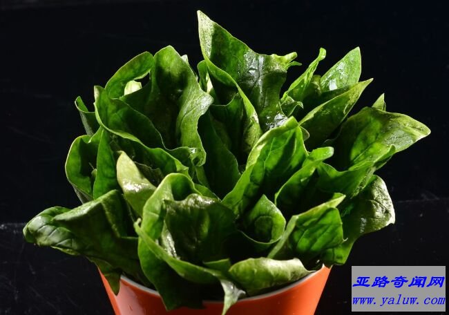 菠菜