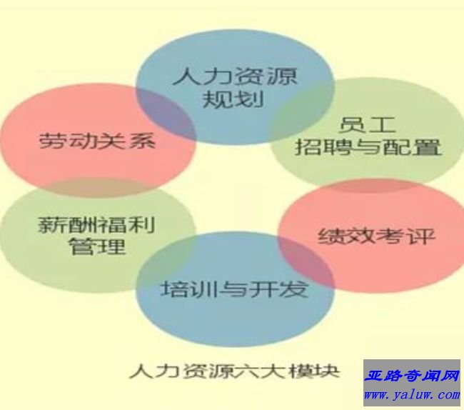 薪酬福利管理