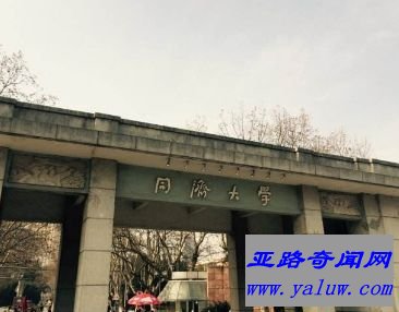 同济大学 国内10 世界排名289