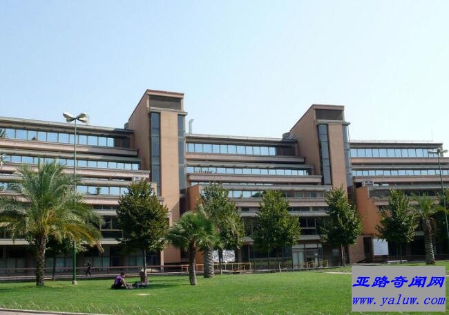 罗马大学