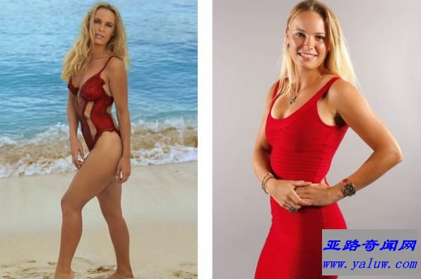 卡洛琳·沃兹尼亚奇 卡洛琳·沃兹尼亚奇