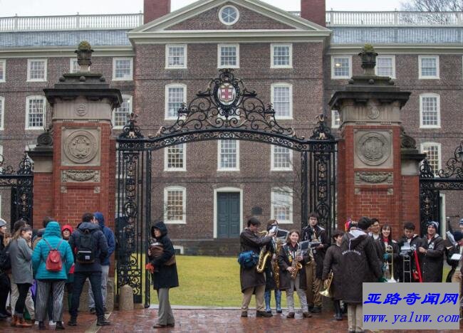 布朗大学