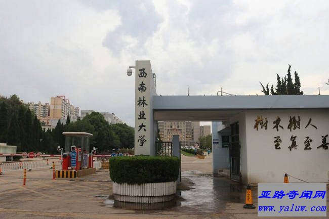 西南林业大学