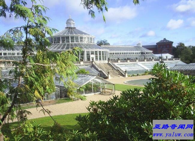 哥本哈根大学