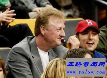 神嘴大鸟 神嘴大鸟