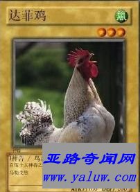 中国网络十大神兽之一达菲鸡 中国网络十大神兽之一达菲鸡