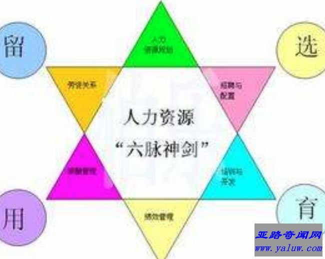 劳动关系管理