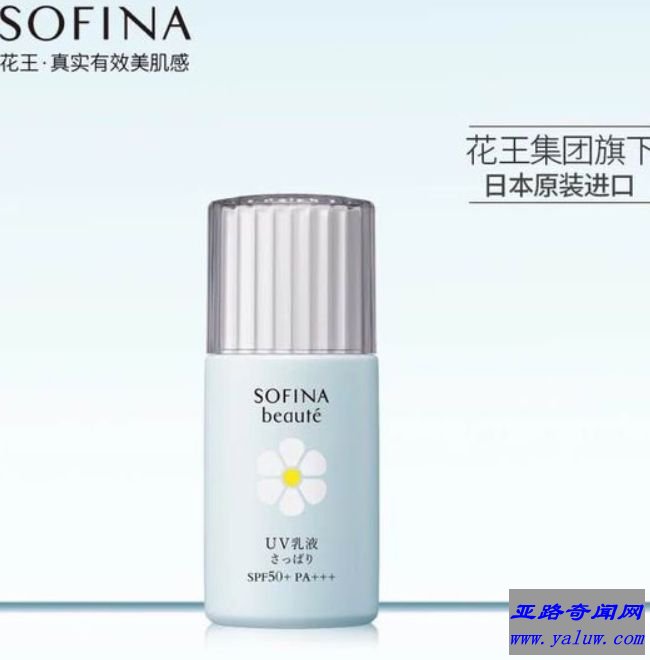 苏菲娜蓝小花
