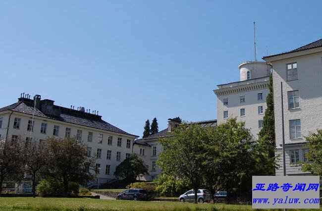 卑尔根大学