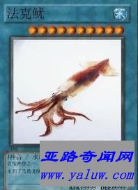 中国网络十大神兽之一法克鱿 中国网络十大神兽之一法克鱿