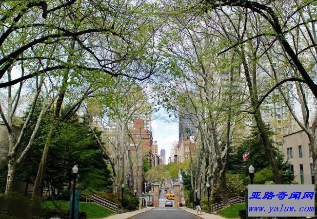 洛克菲勒大学