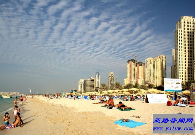 房地产开发.建筑与工程