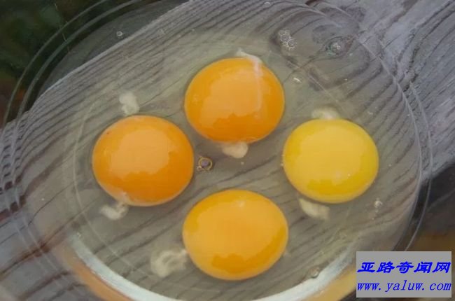 生鸡蛋